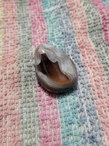 A. review photo