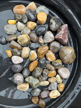R.E. review photo
