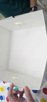 Clara review photo