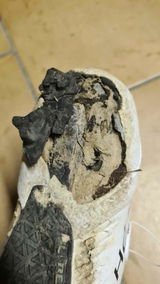 alessandro negri review photo