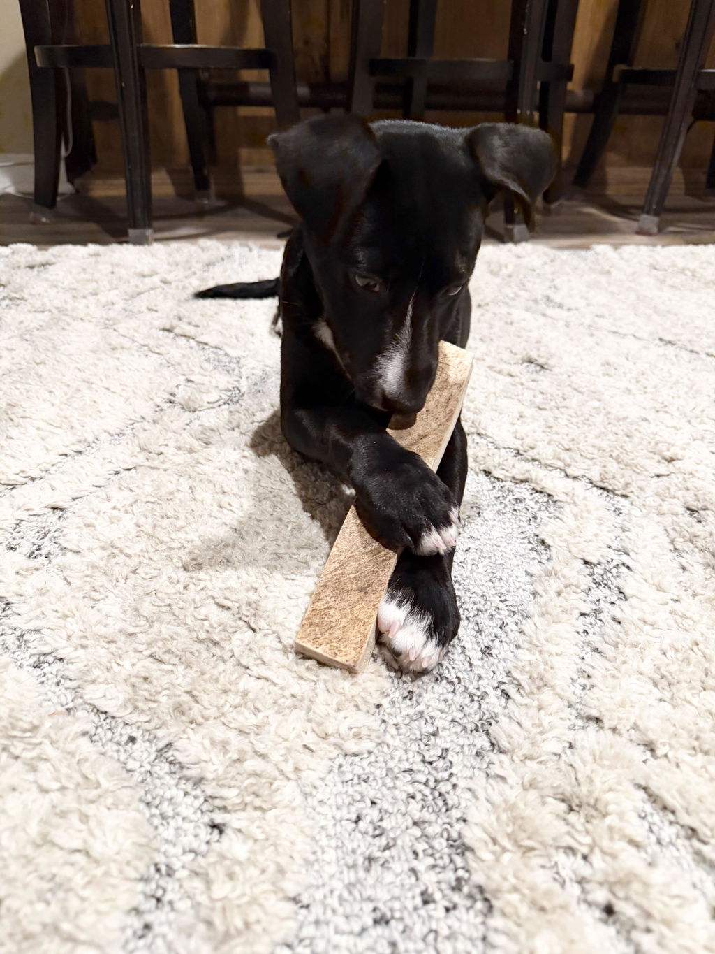 Moose Muncher™ Paddles