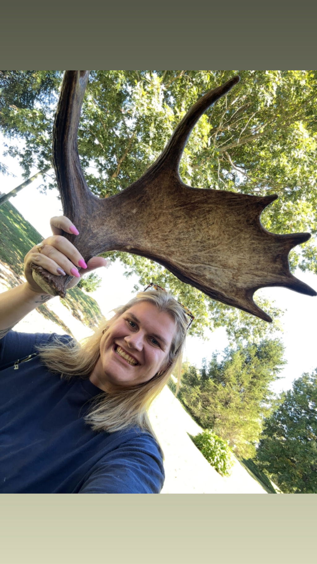 Allagash Antlers 