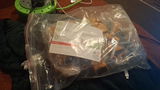 David F. review photo