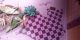 Etsy customer review photo