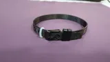 anil review photo