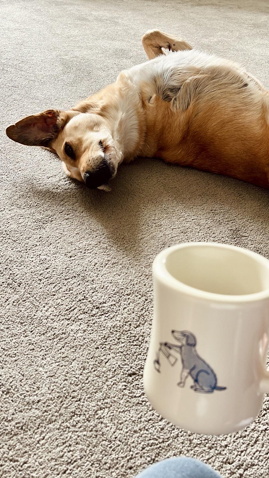 Espresso Blend Coffee Subscription