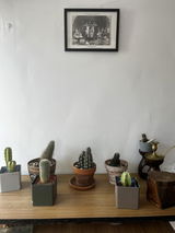 Tal.cual review photo