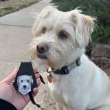 Casey H. review photo