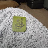 Elijah P. review photo