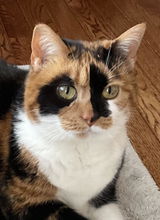 Linda P. review photo