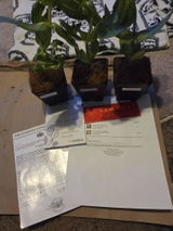 Etsy c. review photo