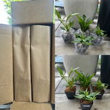 Etsy c. review photo