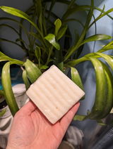 Shelby Acre review photo