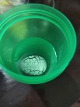 L.F. review photo