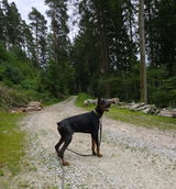 Ilona S. review photo