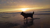 Carmen S. review photo