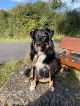 Dunja W. review photo