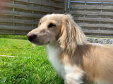 Nicole review photo