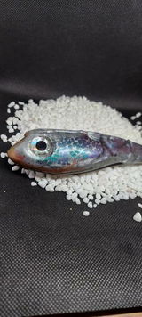 Stillwater Bait Co. review photo