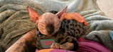 D. review photo