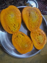 Ravi review photo