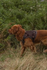 Indre review photo