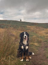 Nell review photo