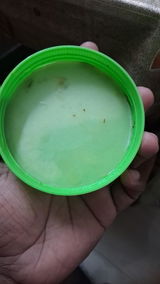 Soumyadip Paul review photo