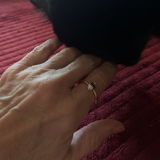 Lacey review photo