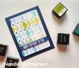 Nandini Karmarkar review photo