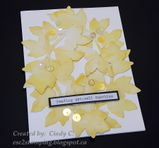 Cindy C. review photo