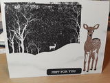 Julie Shields review photo