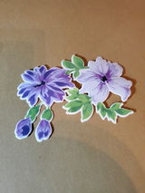 Wendy McDonald review photo