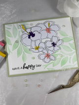 Debora Hachey review photo