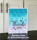 Marianne Oakes review photo