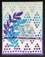 Carol Carrier review photo