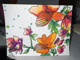 VIkki Challoner review photo