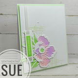 Sue Symens review photo