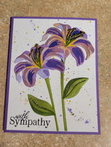 Cynthia Gillette review photo