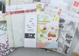 Aya Elsheshtawy review photo