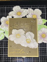 Hideko K review photo