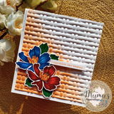 Rumana Amin review photo