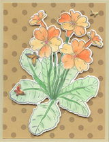 Kathy R review photo