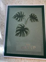 Linda Losee review photo