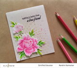 Nandini Karmarkar review photo