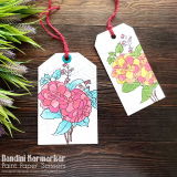 Nandini Karmarkar review photo
