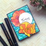 Nandini Karmarkar review photo