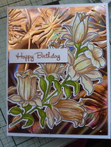 Candace Hodson review photo