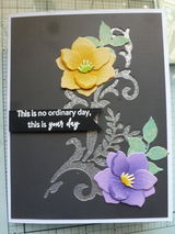Candace Hodson review photo