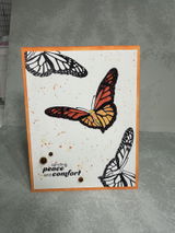Snippets Crafter review photo